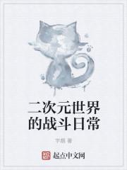 二次元战斗