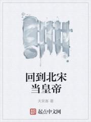 回到北宋当明君