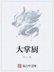 大掌厨电视剧