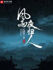风雨夜归人文章