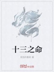 奇命十三抢