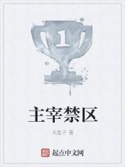 有主宰境的