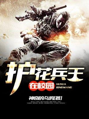护花兵王叶凌风