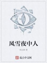 风雪夜归人前一句是什么