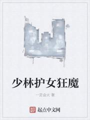 少林护身暗器秘传