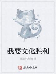 文明怎么文化胜利