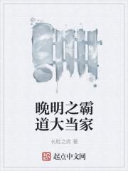 晚明霸业