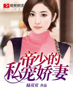 帝少的私宠甜妻完整版