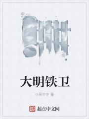大明铁卫TXT免费全本