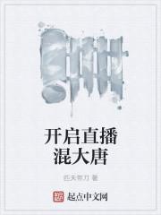 直播大唐生活txt
