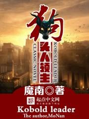 狗头人领主伊尔凡古多少级