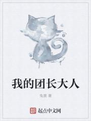 我的团长我的团 在线阅读