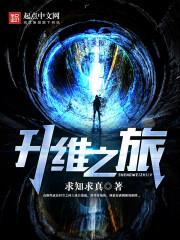 升维之旅设定