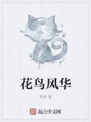 花鸟风月意思
