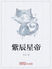 主角叫紫辰的玄幻