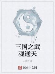 三国之武魂通天完结版全文阅读免费