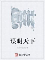 明谋天下起点中文网