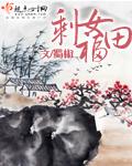 剩女福田 txt