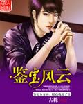 鉴宝风云陈文免费完整版