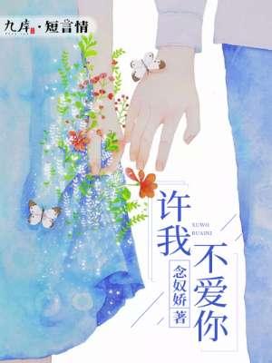 许我爱你这一生免费阅读