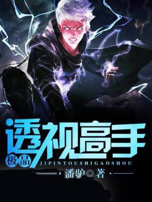 极品透视高手韩振阳免费阅读