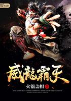 威龙霸天火锅盖帽