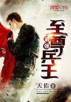 最强至尊兵王苏辰