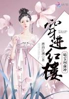 清穿红楼之晴雯升级路