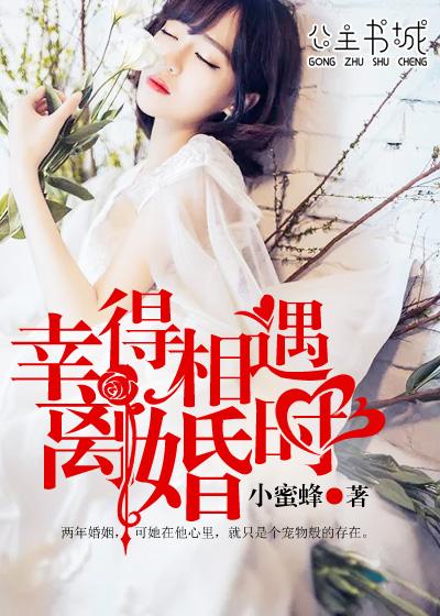 幸得相遇离婚时全文阅读
