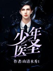 少年医圣有声