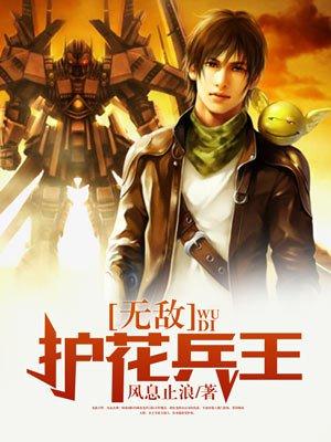 护花兵王叶轩百度阅读