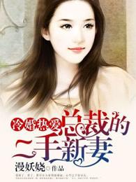 冷婚热爱总裁的二手新娘