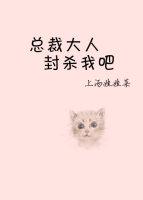 总裁大人封圣免费阅读