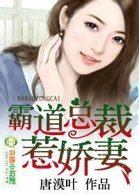 霸道总裁娇宠妻全文阅读