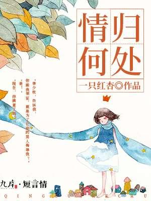 情归何处 歌词