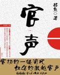 官声之巅峰权力大结局是什么