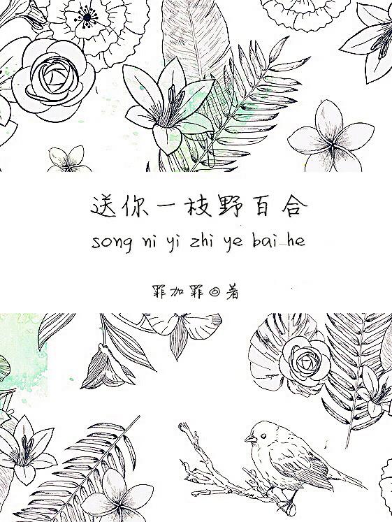 送你一枝野百合讲的什么故事