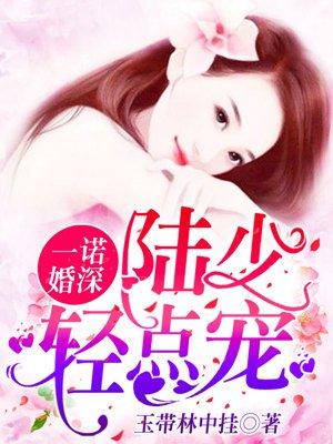 一诺婚深陆少轻点宠免费阅读