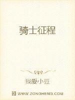 骑士征程l