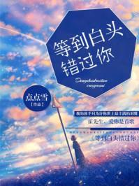 等你等到白了头是什么歌