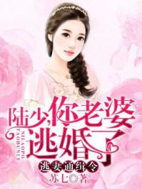 你老婆跑了