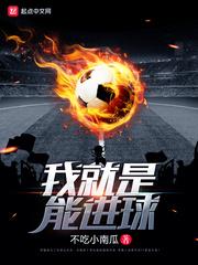 我就是能进球 笔趣阁