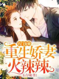 名门宠婚重生娇妻火辣辣 玉青城
