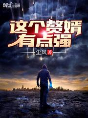 这赘婿不当也罢txt