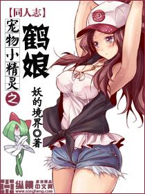 宠物小精灵之怜卡夜阁