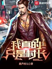 我真的只是村长相似的