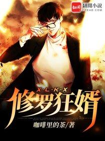 修罗狂婿完整版