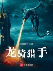 nga龙骑