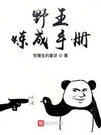 野王的炼成手册手册