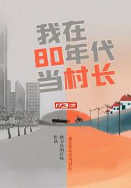 我在80年代当村长主人公